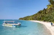 Glass Bottom Boat Day Tour with Fitzroy Island Resort