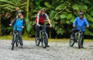 Fox Glacier Valley E-bike & Hike with Fox Glacier Guiding