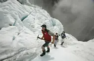 Flying Fox Glacier Helihike with Fox Glacier Guiding