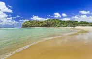 Fraser Island Adventure Tours - 4WD Adventure Tour - Lunch Included