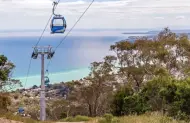 Return Gondola Ride with Arthurs Seat Eagle