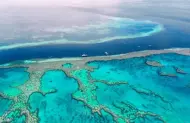 Reef Discovery Fly Both Ways with Hamilton Island Air