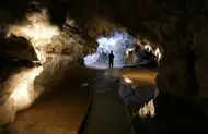 Waitomo Triple Cave Combo - Glowworm, Ruakuri and Aranui Caves