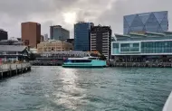 Wellington Harbour Explorer