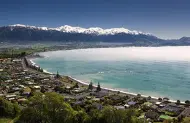 3 Hour Sightseeing Tour with Kaikoura Shuttles