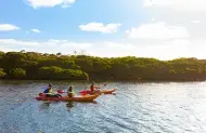 Guided Kayak Tour with Kangaroo Island Outdoor Action