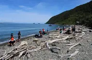 Kapiti Island Eco Experience