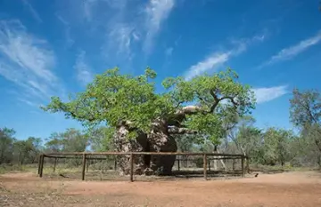 Kimberley Off-Road Adventure Tours Darwin to Broome - Day 9