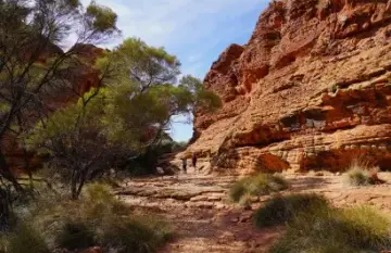 Journey Beyond: Red Centre Spectacular - Day 4