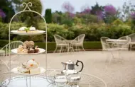 High Tea plus Garden and Castle Entry at Larnach Castle