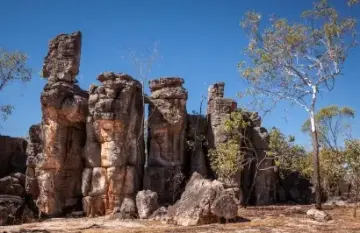 Kakadu & Litchfield National Park Adventure - Day 4