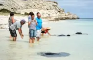 Wild Stingray Adventure at Hamelin Bay with Margaret River Adventure Co