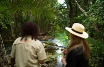 Queensland's Tropical North Holiday - Day 4