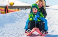 Sightseeing and Tobogganning at Coronet Peak Ski Field