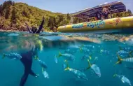 Northern Exposure Whitehaven Beach Tour with Ocean Rafting