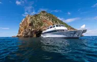 Perfect Day Ocean Cruise with Dive! Tutukaka