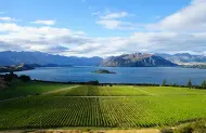 Walking tracks around Wanaka