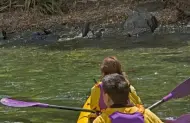 Milford Sound Kayaking Sunriser Classic with Roscos Milford Kayaks