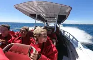 Thrill Boat Cruise with Rottnest Express