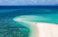 Mackay Cay Outer Reef Cruise with Sailaway Port Douglas - Lunch Included