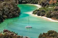 Full Day Sailing Tour with Abel Tasman Sailing Adventures