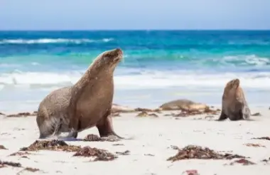 Exploring New Zealand's incredible scenery