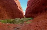 Kata Tjuta Domes Tour with SEIT Outback Australia