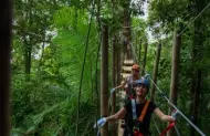 Tree Ropes Course with Treetops Adventure Western Sydney