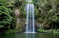 Full Day Waterfall & Atherton Tablelands with Waterfall Wanderers - lunch included