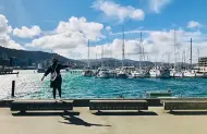 Wellington Full Day Tour