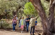 Ikara - Flinders Range Sacred Canyon Cultural Tour with Wilpena Pound Resort