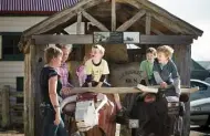 The Wool Shed Museum of Sheep & Shearing