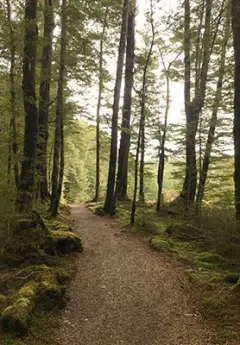 Te Anau, New Zealand