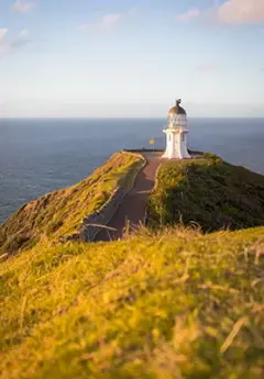 Path heading to Cape Reinga lighthouse in the Northland