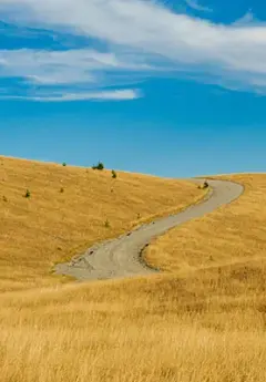 Mackenzie Country, New Zealand