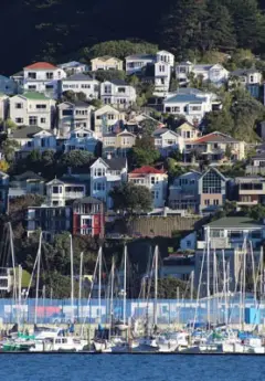 Boats sit side by side on the water and Wellington houses are stacked upon a hillside