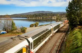 TranzAlpine Train leaving Moana