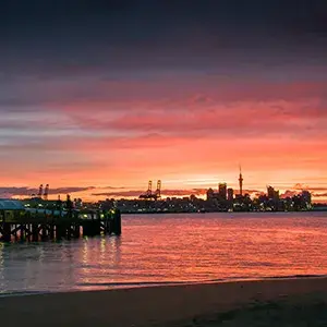 Auckland Skyline