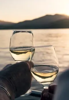 Two glasses filled with white wine, clink with the Marlborough Sounds in the background