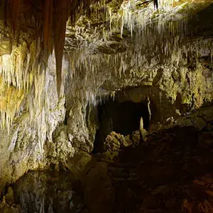 Aranui Cave in Waitomo, Rotorua