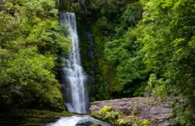 Secluded Waterfall in Lush Forest