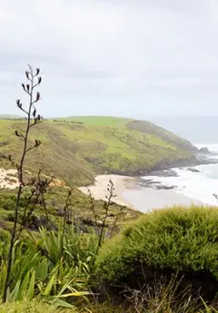 The wild coastline of the Hokianga region