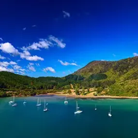 See the beautiful Whatamango Bay as you travel through the Marlborough Sounds