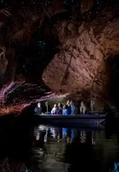 A group glides across the still waters of underground caves in Te Anau, with glittering glowworms above them.