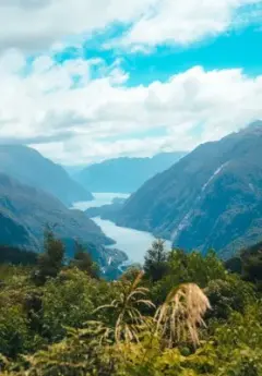 A view of Doubtful Sound from above, the ocean water framed by towering peaks and fluffy clouds.