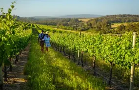 Couple in a winery