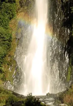 View of Thunder CReek Falls in Haast Pass