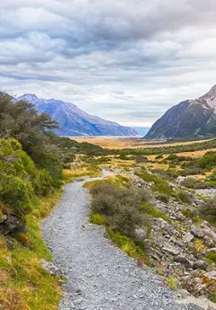 A track in Mount Cook National Park