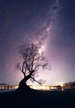 Iconic Wanaka tree and Milky Way on the sky