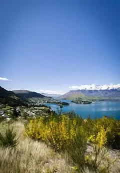 View of Queenstown and Lake Wakatipu